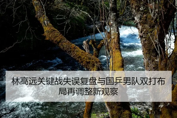 林高远关键战失误复盘与国乒男队双打布局再调整新观察 | BOBSPORTS